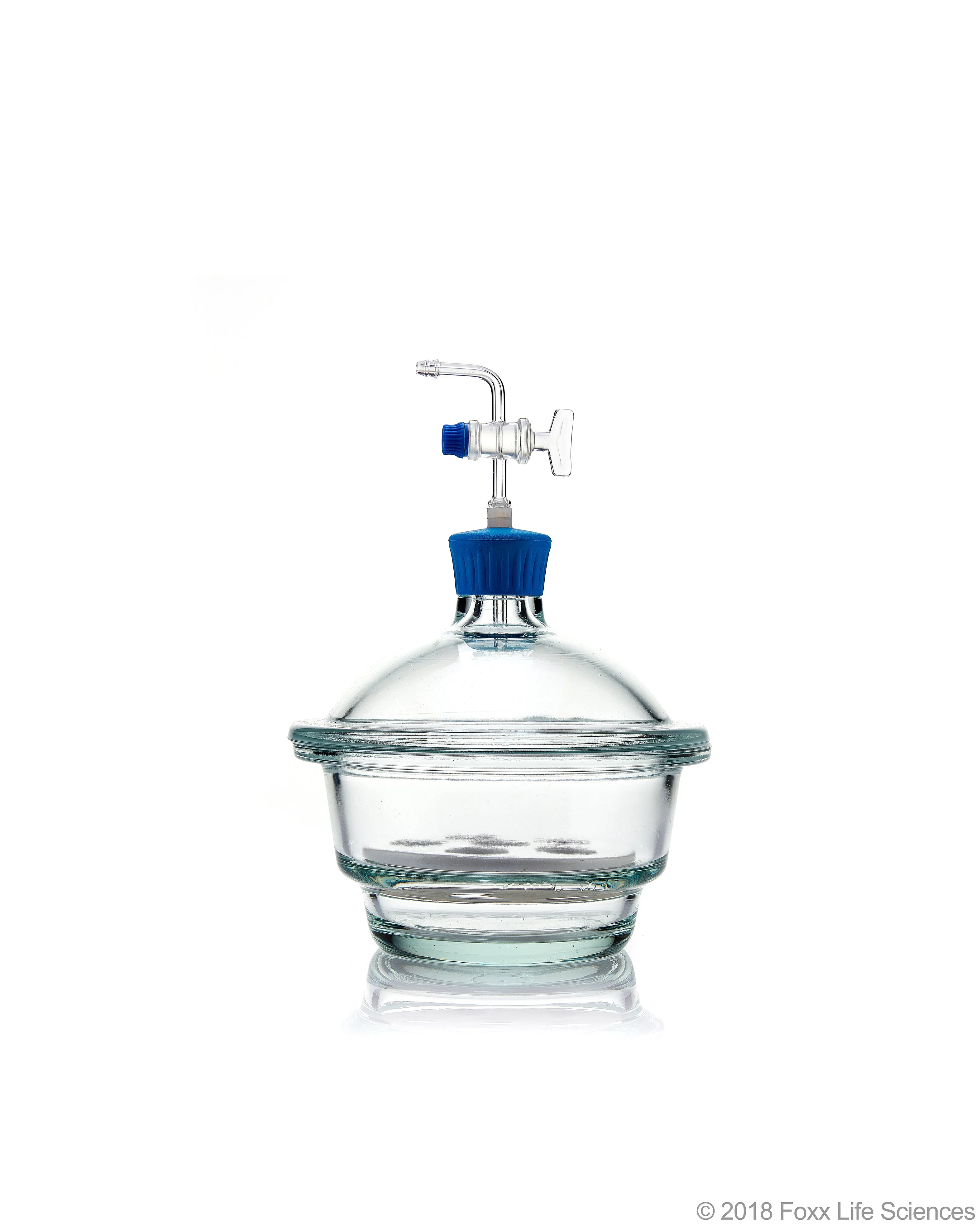 Borosil® Desiccator Vacuum, Stopcock with Polytetrafluoroethylene (PTFE) spindle and Porcelain plate, 150 mm, Borosilicate