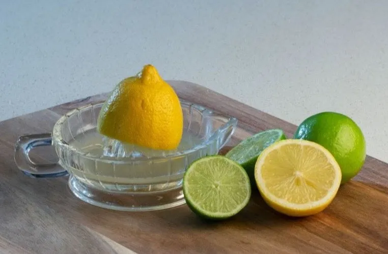 Cuisena Glass Citrus Juicer