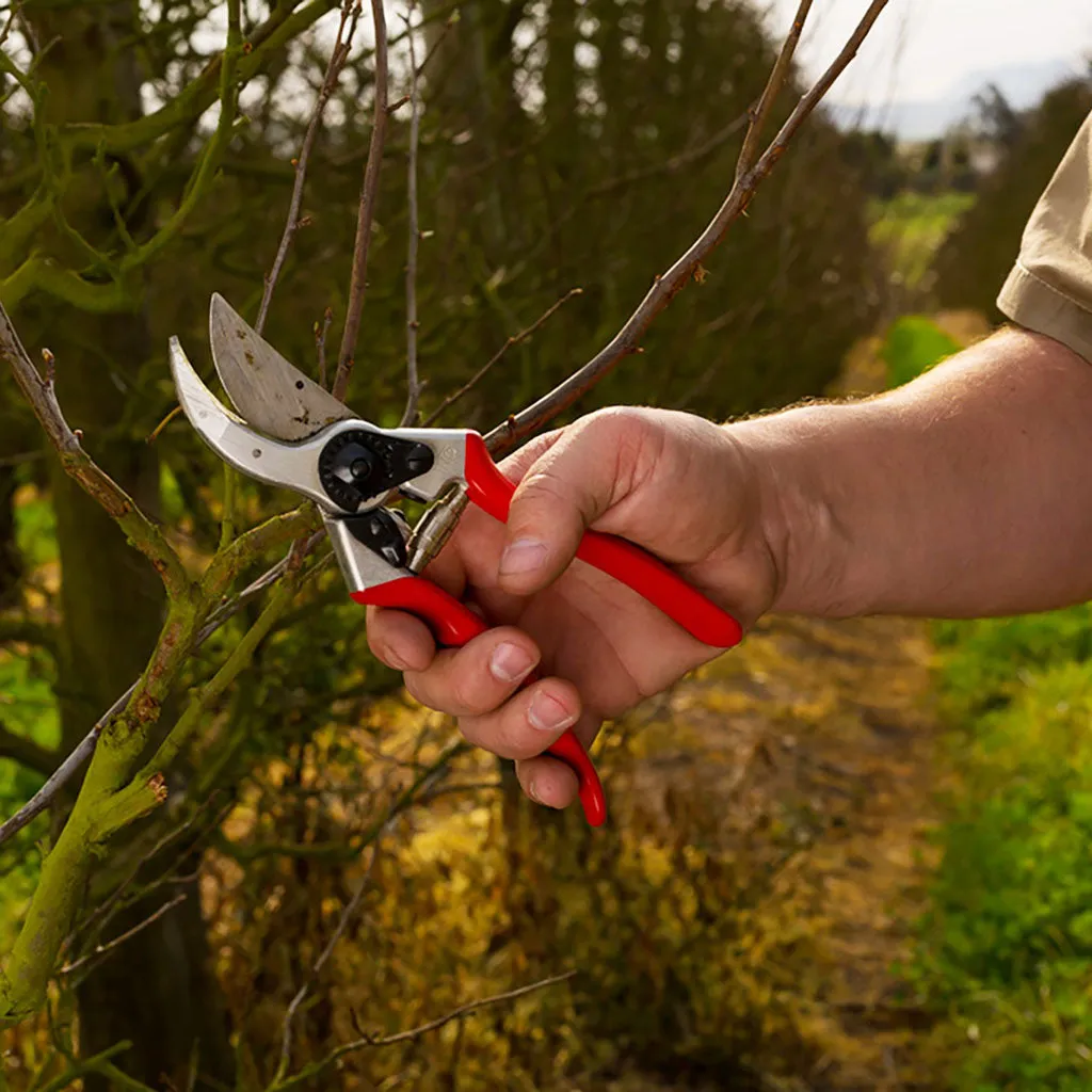 Felco F2 Pruning Shears