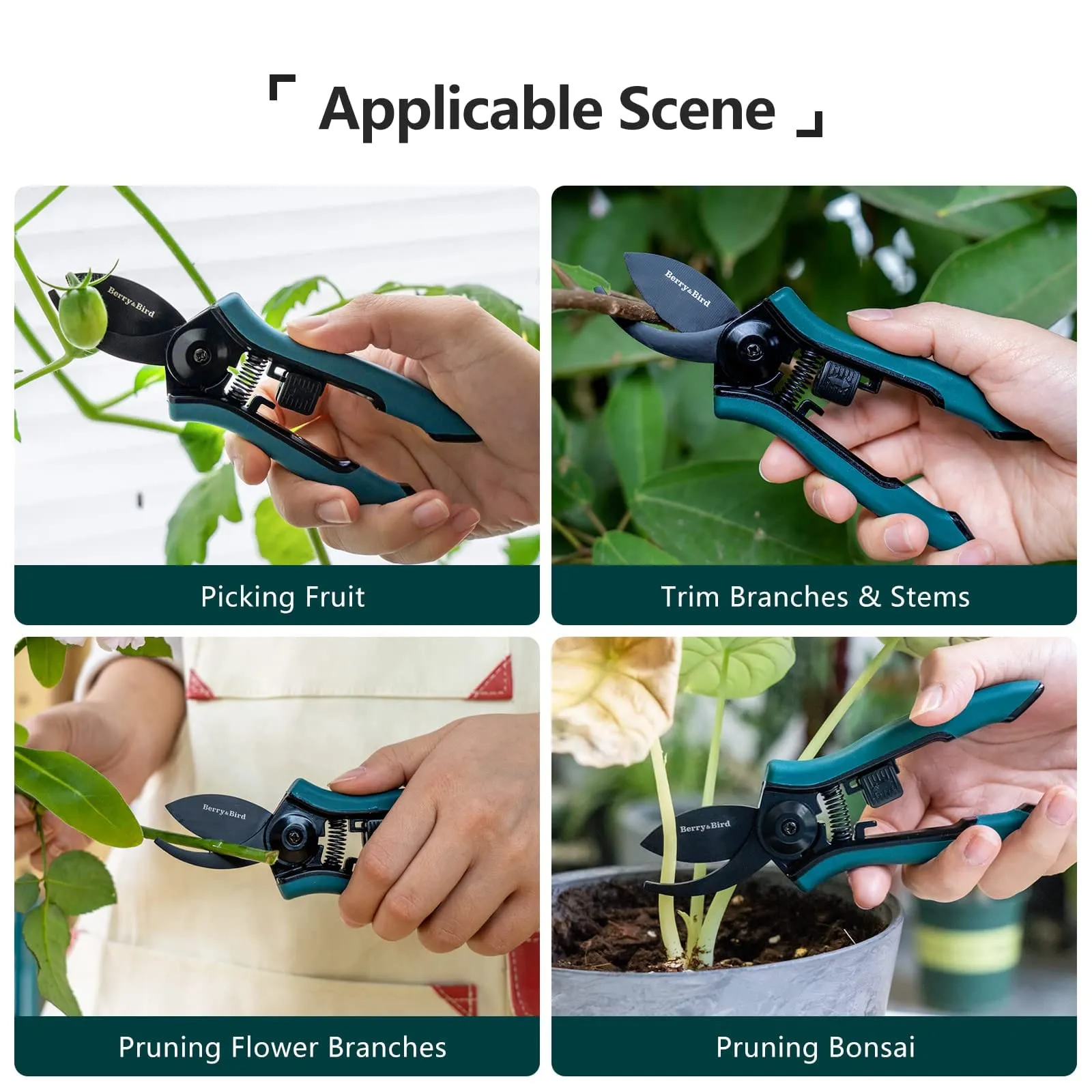 Garden Tool Set 4 PCS Stainless Steel Gardening Tool Kit (Hand Trowel, Hand Fork, Pruning Shears and Gardening Gloves)