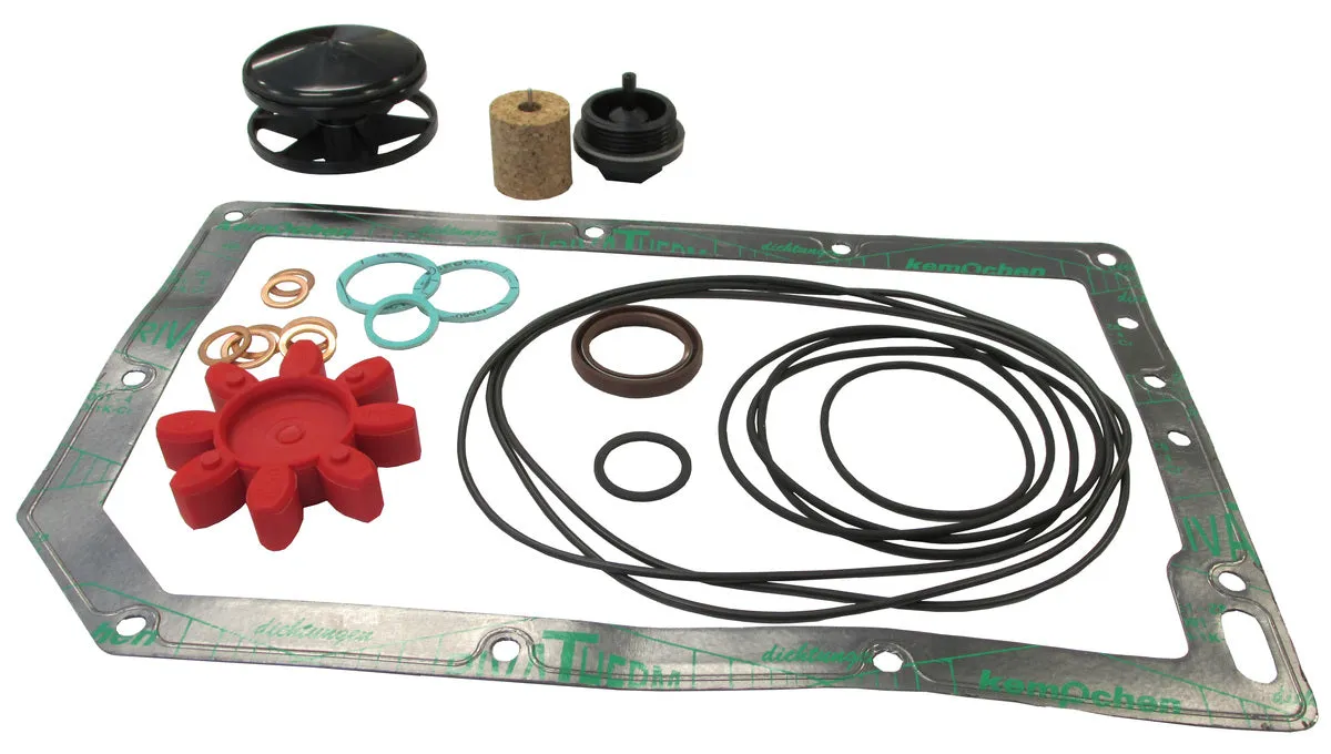 Gasket Kit 1025681001