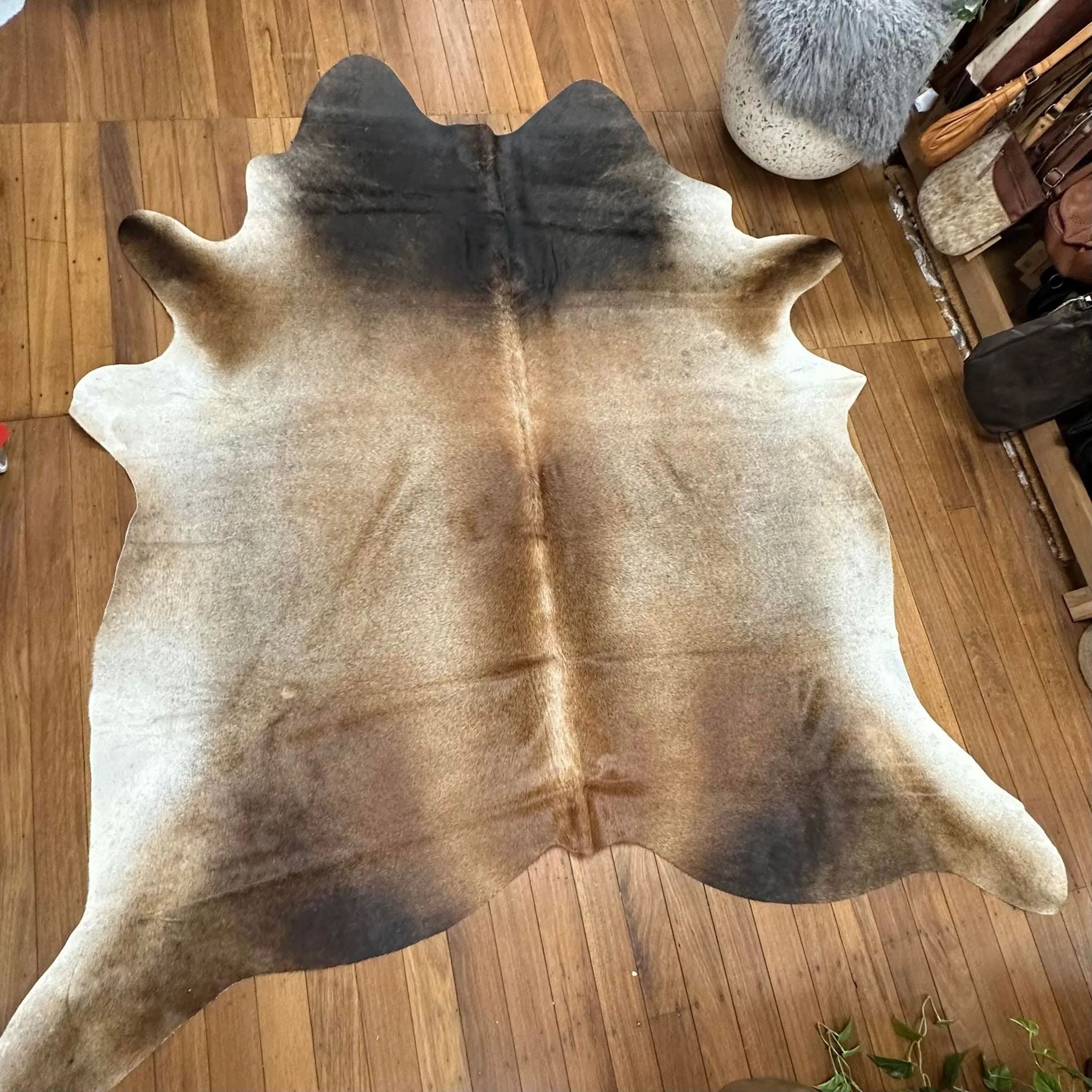 Grey Beige Cowhide 15 | Floor Rug