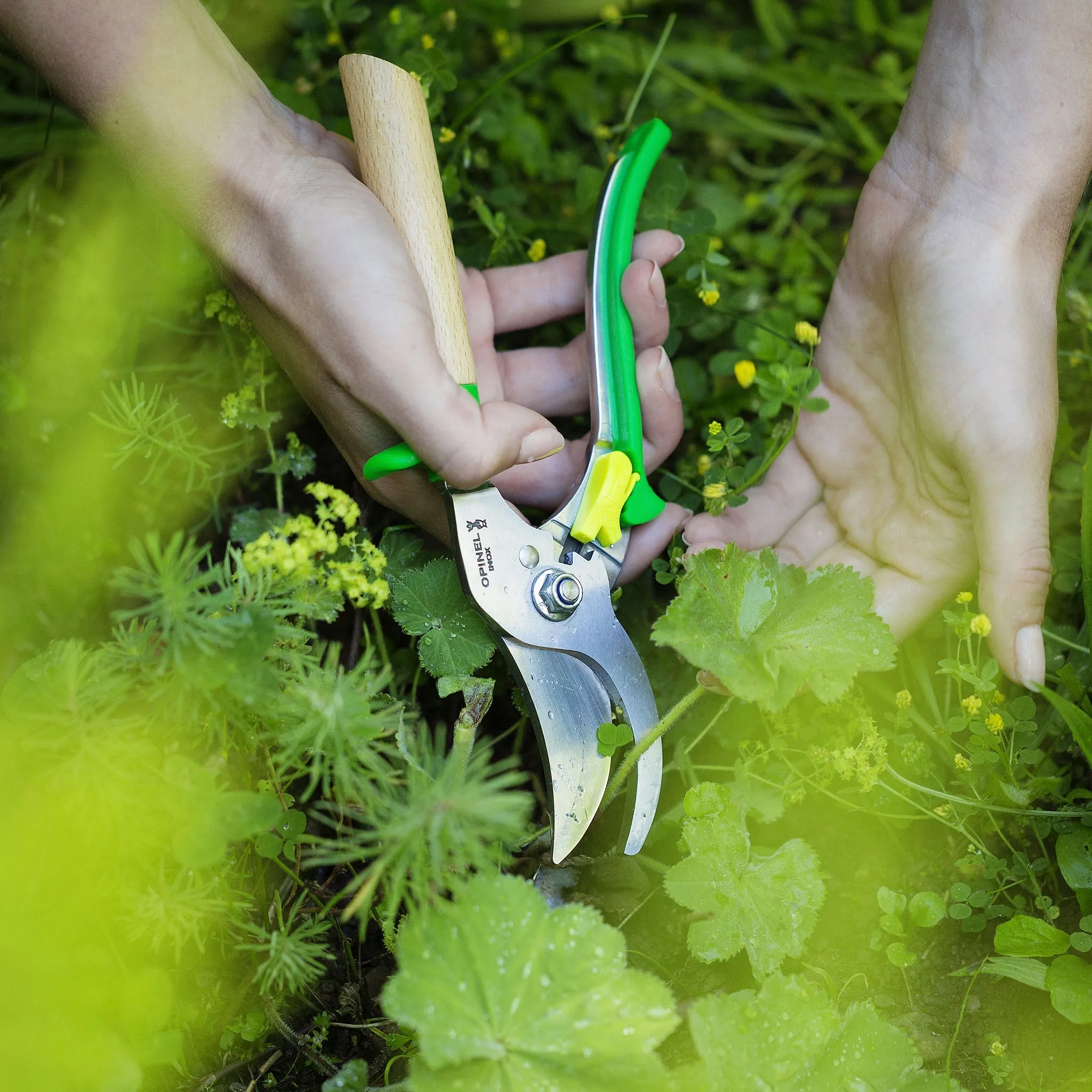 Hand Pruners