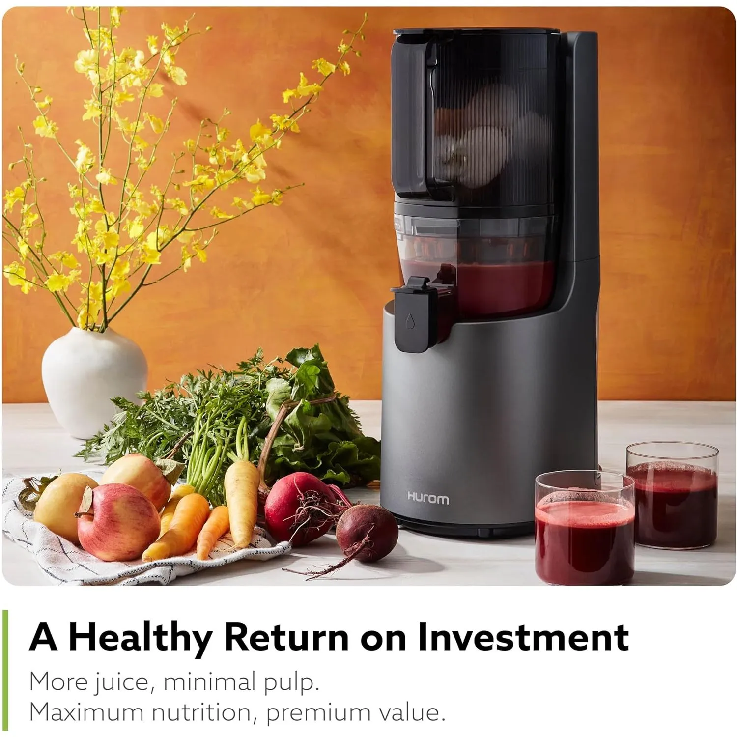 Hurom H200 Easy Clean Slow Juicer