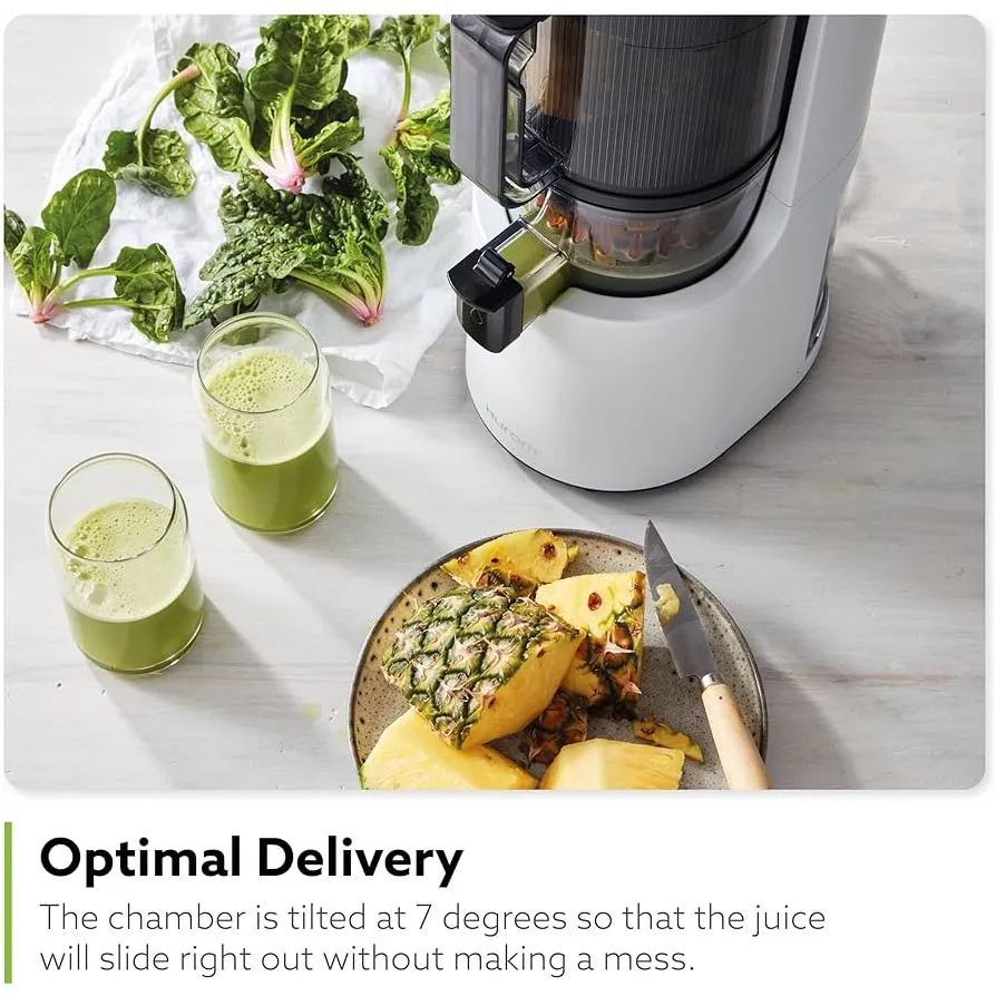 Hurom H200 Easy Clean Slow Juicer