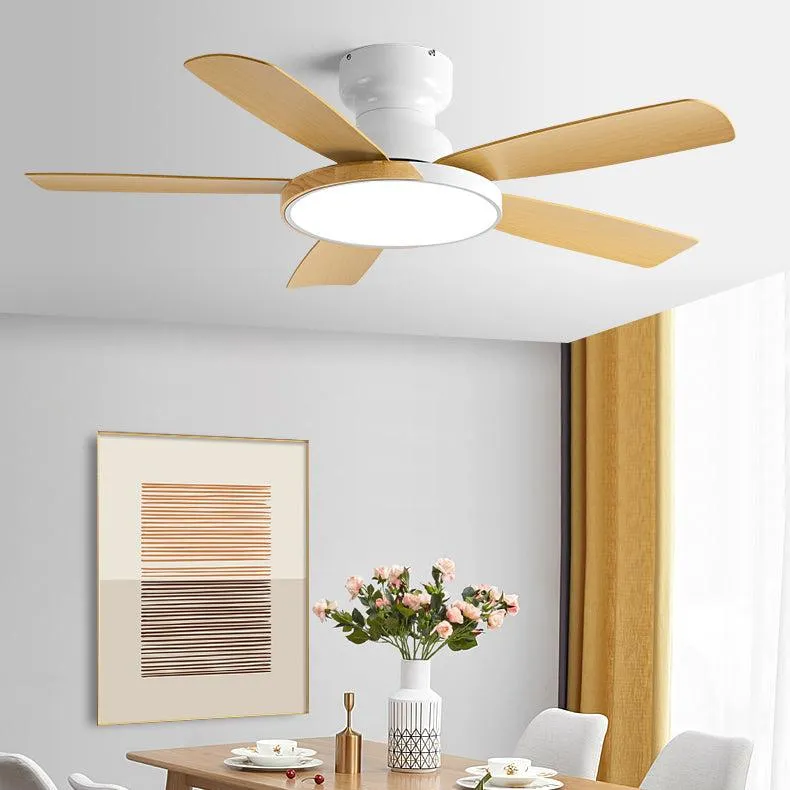 Jehtro | Lighted Ceiling Fan