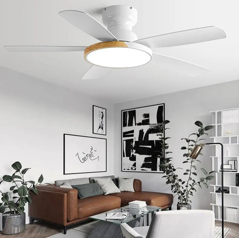 Jehtro | Lighted Ceiling Fan