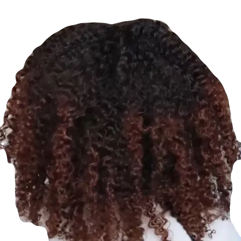 Twist Out Synthetic Wig 14"